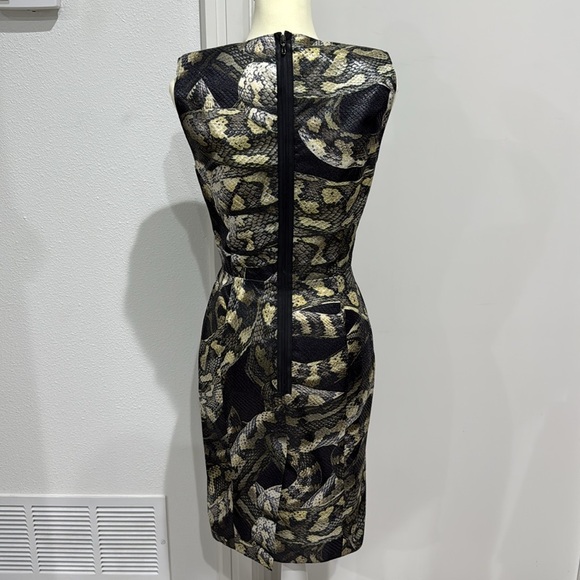 Lanvin Alber Elbaz 2012 Python Snake Sheen Sheath Silk Runway Dress - Size 38 - Picture 5 of 16